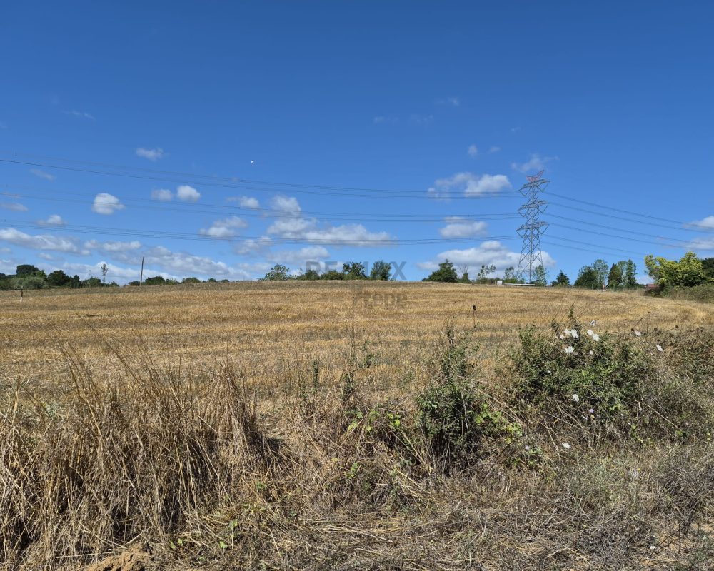 GEBZE DENİZLİ KÖYÜNDE YOLA CEPHELİ İMARLI 1316 M2 ARSA
