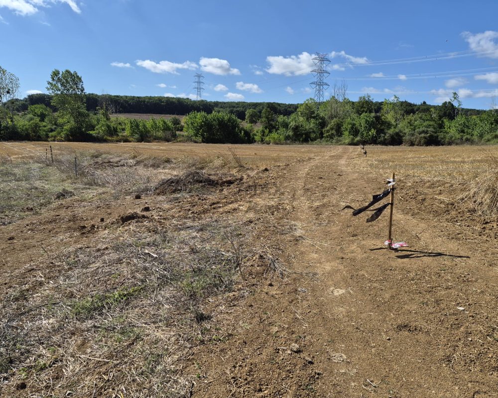 GEBZE DENİZLİ KÖYÜNDE YOLA CEPHELİ İMARLI 1316 M2 ARSA