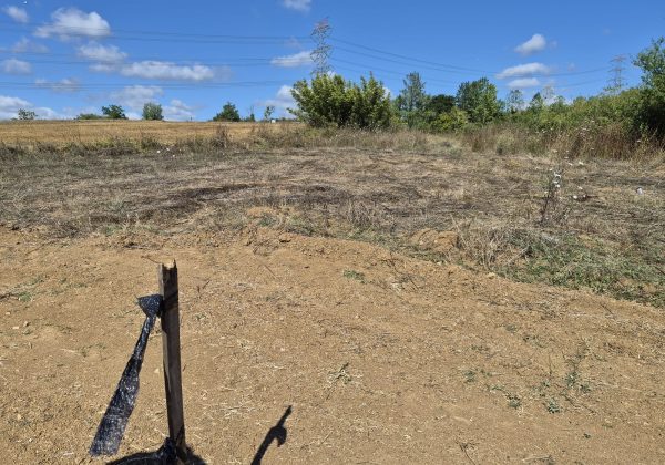 GEBZE DENİZLİ KÖYÜNDE YOLA CEPHELİ İMARLI 1316 M2 ARSA küçük görsel