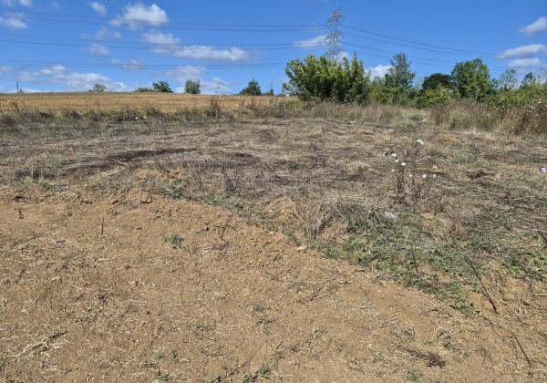 GEBZE DENİZLİ KÖYÜNDE YOLA CEPHELİ İMARLI 1316 M2 ARSA küçük görsel