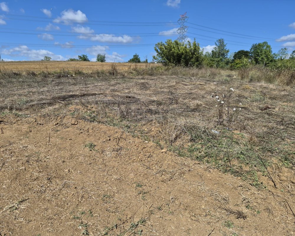 GEBZE DENİZLİ KÖYÜNDE YOLA CEPHELİ İMARLI 1316 M2 ARSA