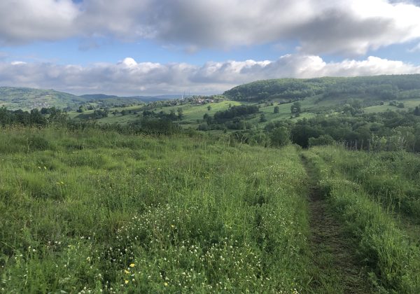 KOCAELI İZMİT BULDUKTA KÖY MERKEZİ YANI RESMİ YOLU AÇIK PARSEL küçük görsel