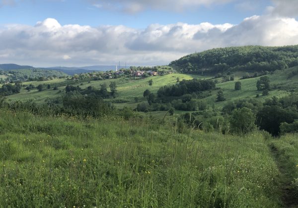 KOCAELI İZMİT BULDUKTA KÖY MERKEZİ YANI RESMİ YOLU AÇIK PARSEL küçük görsel