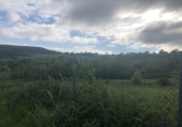KOCAELI İZMİT BULDUKTA KÖY MERKEZİ YANI RESMİ YOLU AÇIK PARSEL küçük görsel