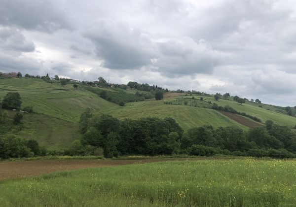IZMIT BAĞLICA'DA YOLA CEPHE KÖY MERKEZİ DİBİNDE MÜSTAKIL PARSEL küçük görsel