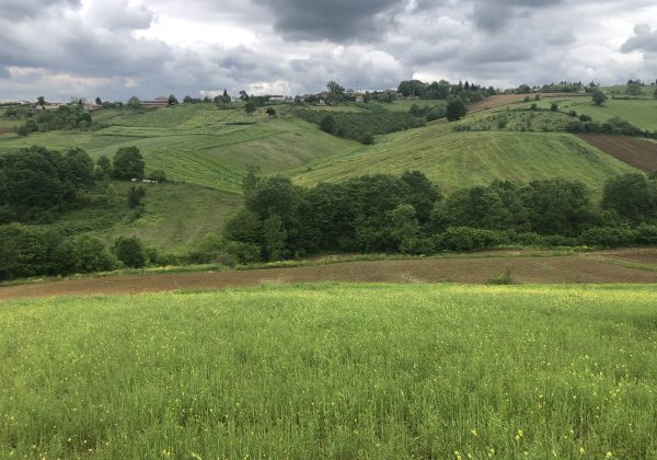 IZMIT BAĞLICA'DA YOLA CEPHE KÖY MERKEZİ DİBİNDE MÜSTAKIL PARSEL küçük görsel