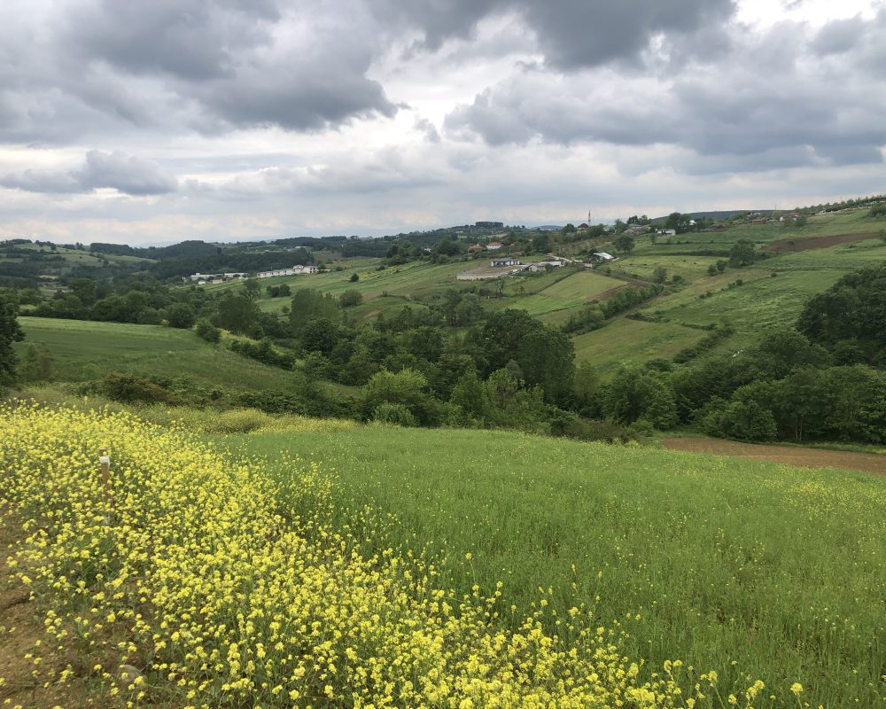 IZMIT BAĞLICA'DA YOLA CEPHE KÖY MERKEZİ DİBİNDE MÜSTAKIL PARSEL