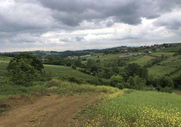 IZMIT BAĞLICA'DA YOLA CEPHE KÖY MERKEZİ DİBİNDE MÜSTAKIL PARSEL küçük görsel