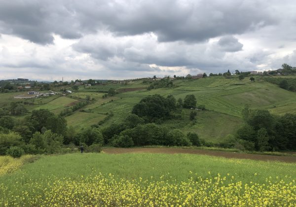 IZMIT BAĞLICA'DA YOLA CEPHE KÖY MERKEZİ DİBİNDE MÜSTAKIL PARSEL küçük görsel