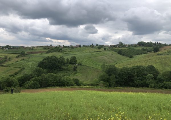 IZMIT BAĞLICA'DA YOLA CEPHE KÖY MERKEZİ DİBİNDE MÜSTAKIL PARSEL küçük görsel
