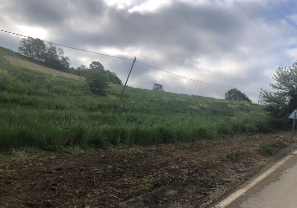 KOCAELI IZMIT BULDUK MERKEZ GENİŞ CEPHE RESMİ YOLA SIFIR PARSEL