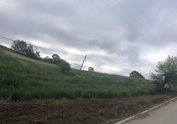 KOCAELI IZMIT BULDUK MERKEZ GENİŞ CEPHE RESMİ YOLA SIFIR PARSEL küçük görsel