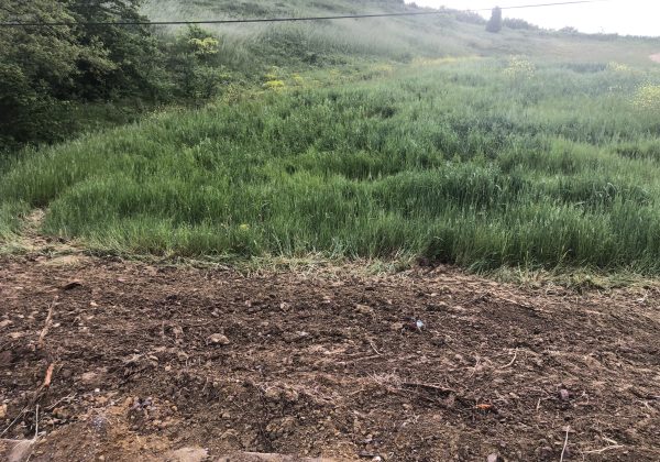 KOCAELI IZMIT BULDUK MERKEZ GENİŞ CEPHE RESMİ YOLA SIFIR PARSEL küçük görsel