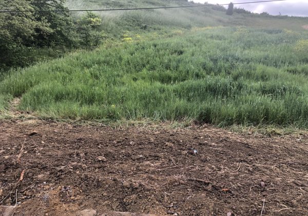 KOCAELI IZMIT BULDUK MERKEZ GENİŞ CEPHE RESMİ YOLA SIFIR PARSEL küçük görsel