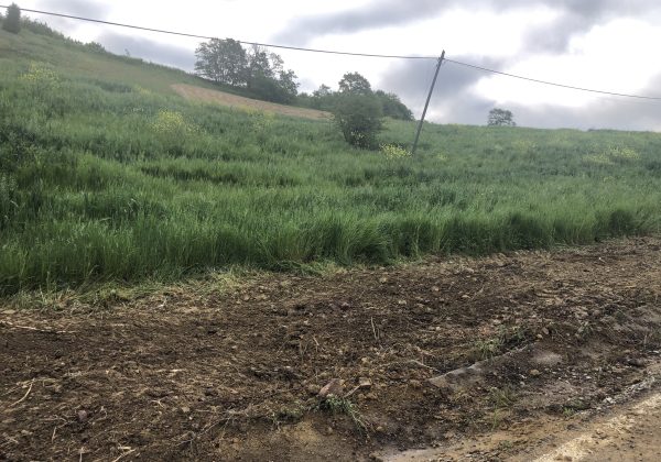 KOCAELI IZMIT BULDUK MERKEZ GENİŞ CEPHE RESMİ YOLA SIFIR PARSEL küçük görsel