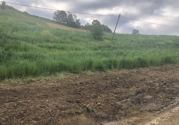 KOCAELI IZMIT BULDUK MERKEZ GENİŞ CEPHE RESMİ YOLA SIFIR PARSEL küçük görsel