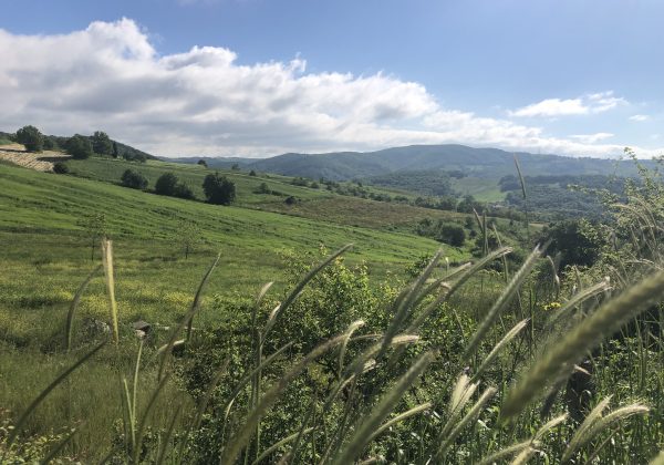 İZMİT YATIRIMIN TAM MERKEZİNDE RESMİ YOLA CEPHE MÜSTAKİL PARSEL küçük görsel