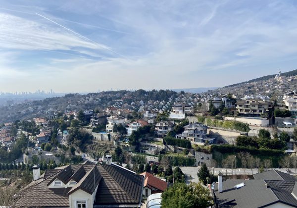 REMAX 7TEPE'DEN ACARKENT'TE YÜKSEK KONUMLU SATILIK VİLLA küçük görsel