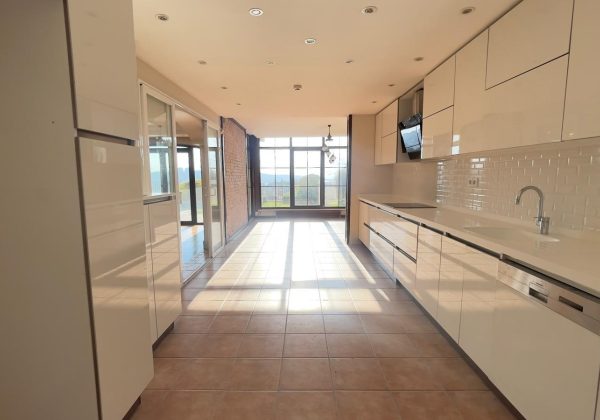 REMAX 7TEPE FARKIYLA ACARKENT'TE KİRALIK EN  UYGUN B TİPİ VİLLA küçük görsel
